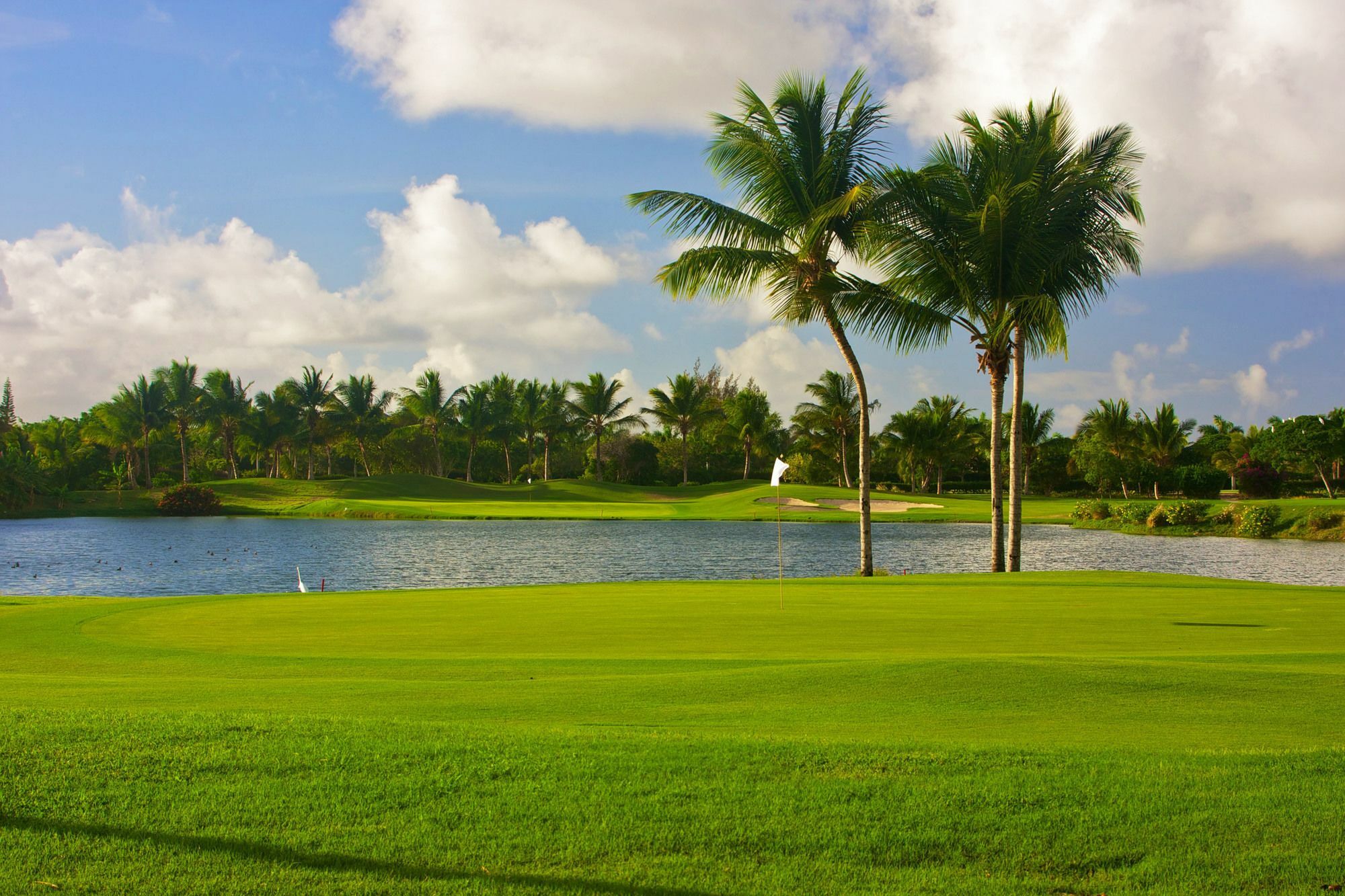 Royal Service At Paradisus Palma Real (Adults Only) Punta Cana Exteriér fotografie