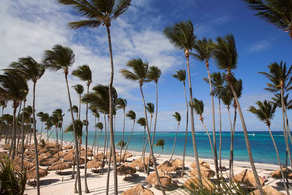 Royal Service At Paradisus Palma Real (Adults Only) Punta Cana Příroda fotografie